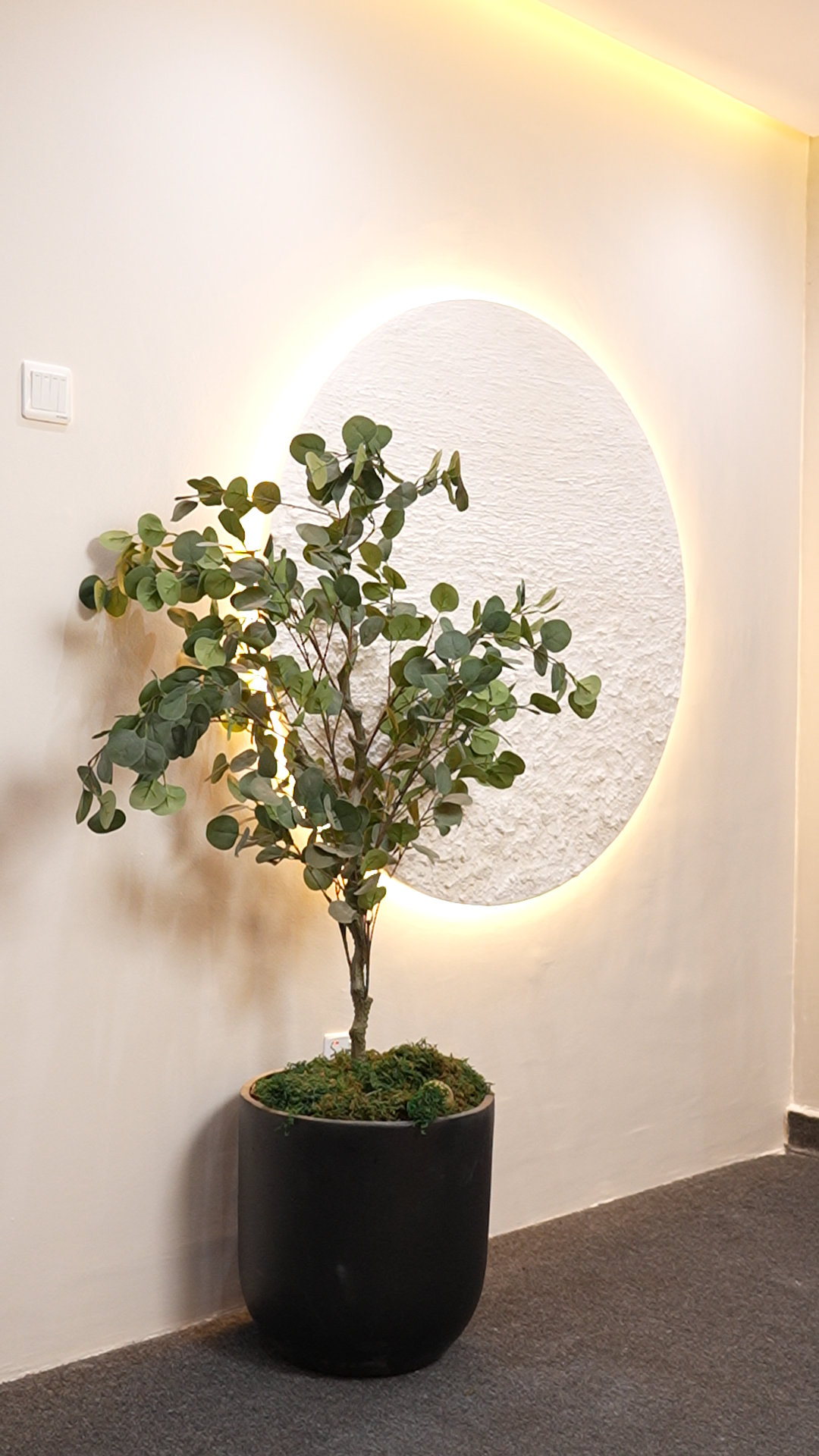 Studio Image 2